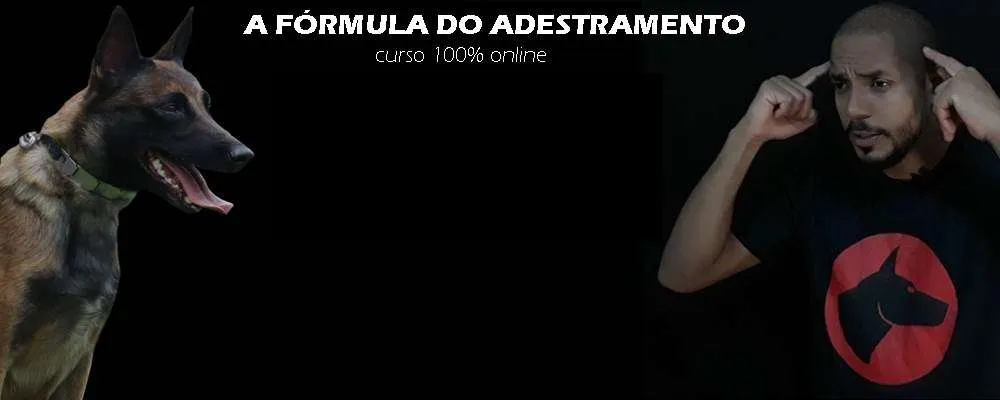 Capa: Baixar Fórmula do Adestramento 2.0: Curso Dionatas Piloto
