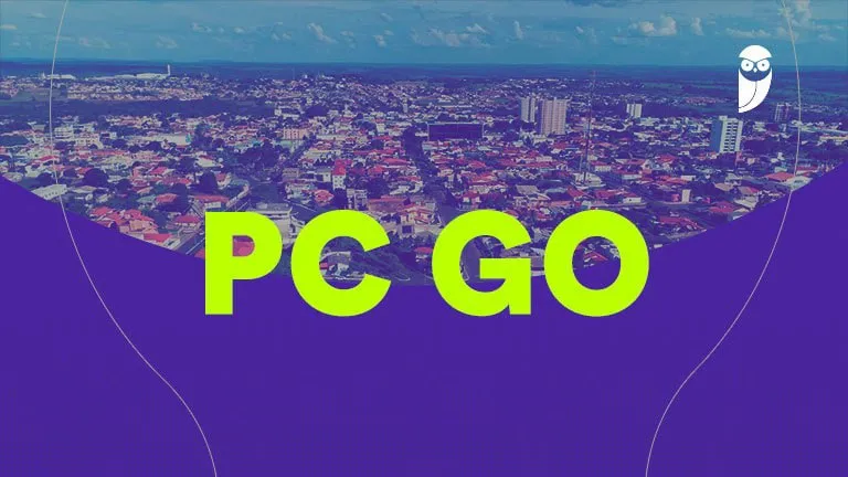Capa: Download PC GO 2022: Agente e Escrivão | Baixe o Material Definitivo