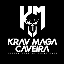 Capa: Baixar Viver de Renda 2.0 Bruno Perini: Domine Investimentos