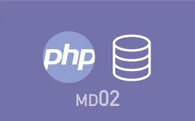 Capa: PHP MySQL Estudonauta: Baixar Curso Completo Drive 2020