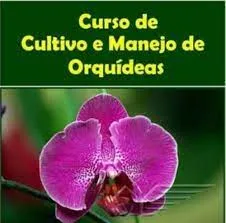Capa: Baixar Curso Cultivo de Orquídeas: Antônio Coutinho (Download)