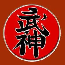 Capa: Download Ninja Ninjutsu Faixa Preta: Curso Completo para Baixar