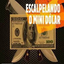 Capa: Curso Pio Trade: Baixar Estratégias Mini Dólar Escalpeladas