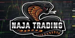 Capa: Baixar Curso Take Trader: Acesso Completo Ao Drive Exclusivo