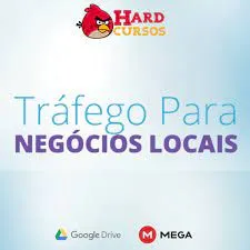 Capa: Baixar Curso Tráfego para Negócios Locais Fábio Bindes
