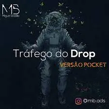 Capa: Baixar Drop Traffic: Domine Tráfego Pago e Vendas