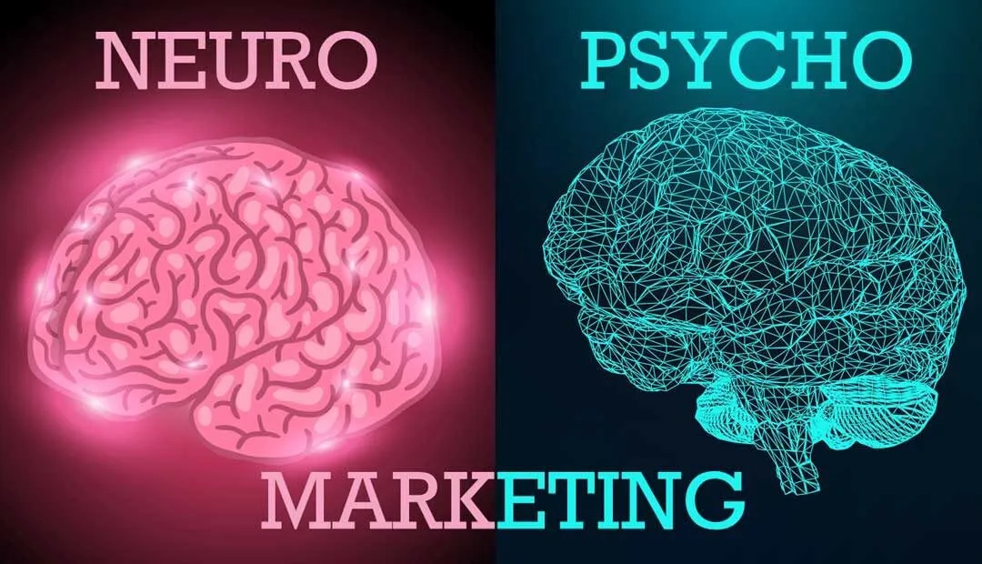 Capa: EAD Neuromarketing IBN: Baixar Curso Completo 2022