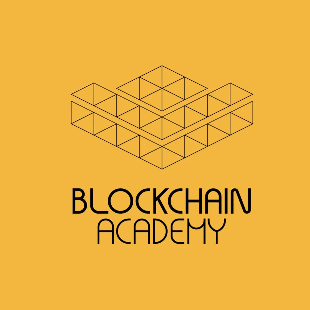 Capa: Blockchain Immersion (Blockchain Academy): Baixar Curso Completo