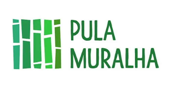 Capa: Curso Chinês Pula Muralha Si Liao: Baixar Completo 2024