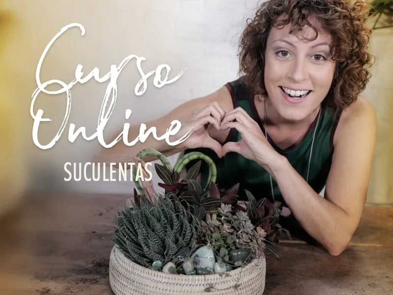 Capa: Baixar Curso Arranjos com Suculentas de Carol Costa: Download Completo