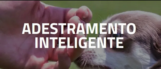 Capa: Baixar Adestramento Inteligente Alexandre Rossi: Download Rápido!