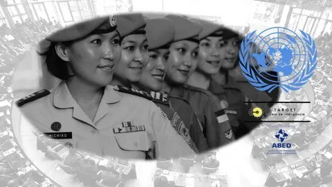 Capa: Baixar Curso Segurança Internacional e ONU: Coronel Vieira