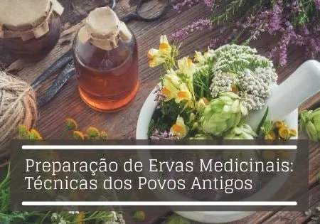 Capa: Baixar Curso Preparação Ervas Medicinais Afonso Lopes