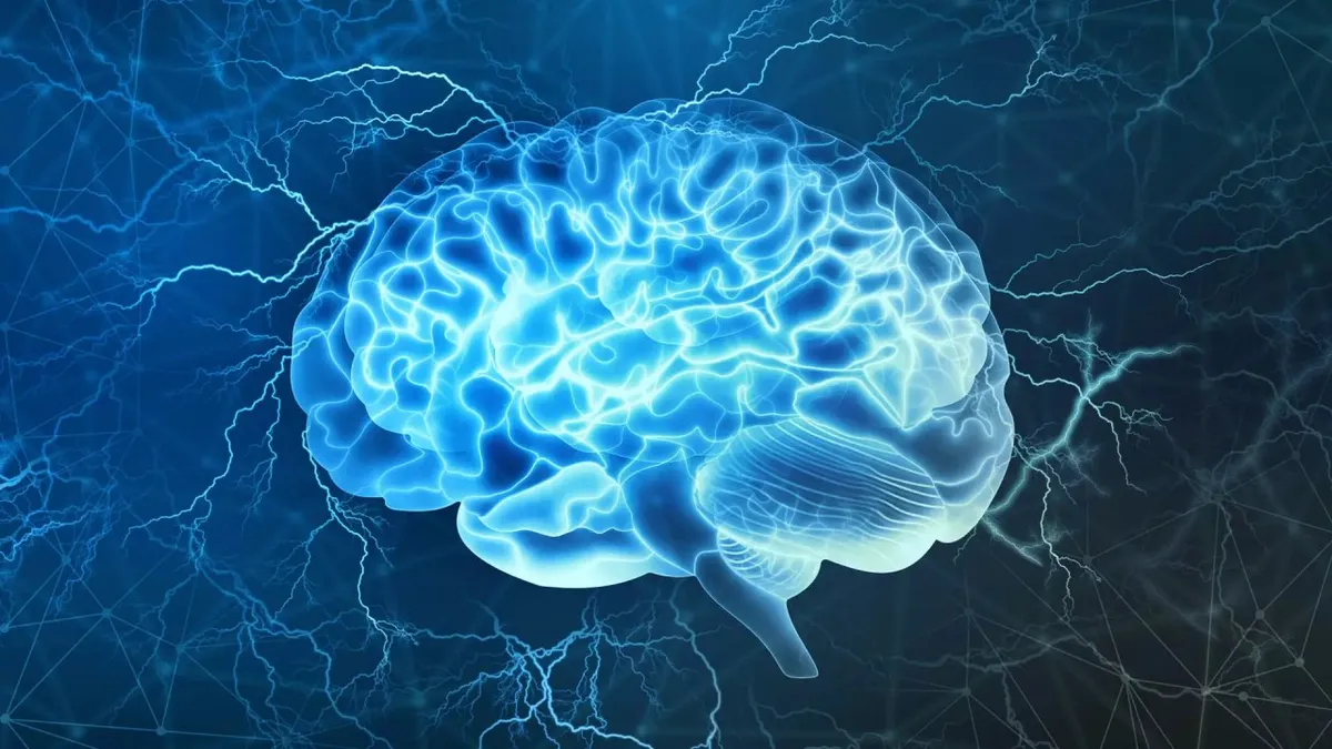 Capa: Neurociência e Comportamento (Eslen Delanogare): Baixe Agora!