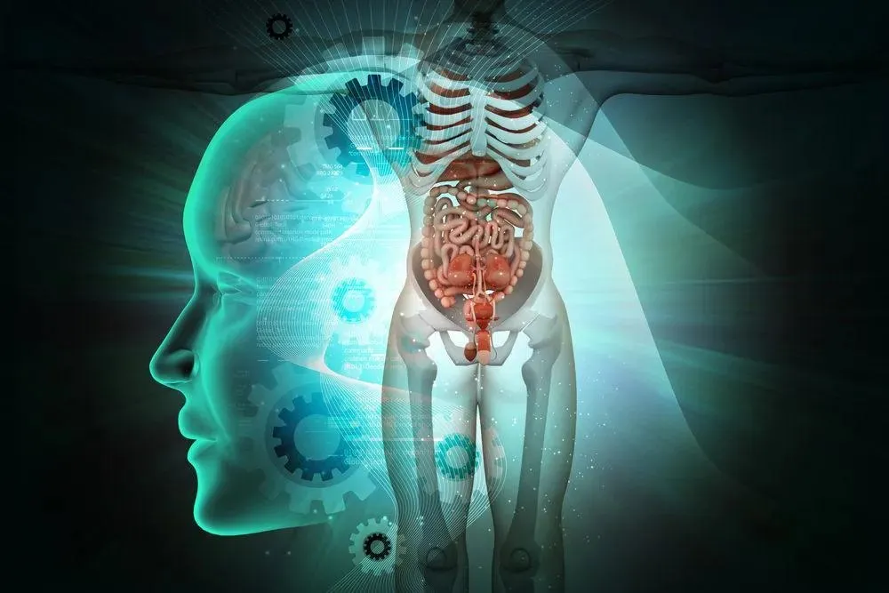 Capa: Anatomia dos Órgãos e Sistemas: Baixe Agora o Curso Completo!