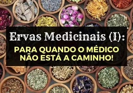 Capa: Ervas Medicinais (I) Afonso Lopes: Baixar Curso Completo Agora!